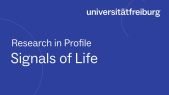 thumbnail of medium Research in Profile - Aida Maric - englisch untertitelt