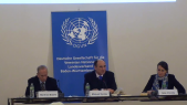 thumbnail of medium  Podiumsdiskussion: Die Vereinten Nationen und internationale Friedenseinsätze: Chancen und Herausforderungen 