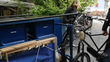 thumbnail of medium Crazy Gefährte