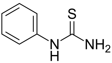 thumbnail of medium Kursthema 5 Experimenteller Teil