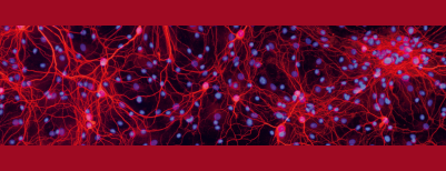 thumbnail of channel Bernstein Center Freiburg