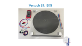 thumbnail of medium Einleitung-EKG.mp4