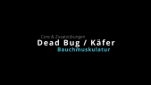 thumbnail of medium Käfer